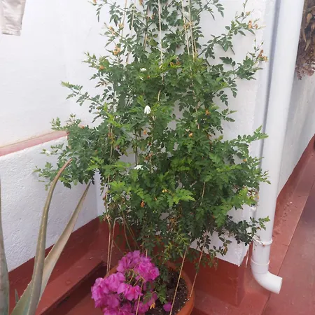 Salvador House I 홈스테이